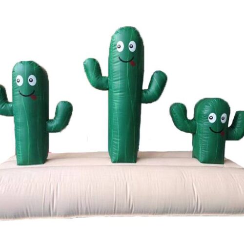 Cactus Ring Toss
